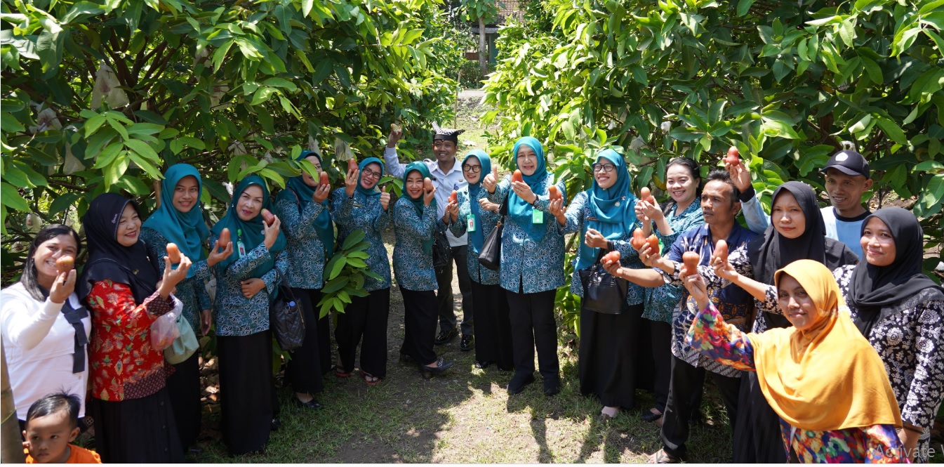 PANEN JAMBU DI DESA SUMBERARUM