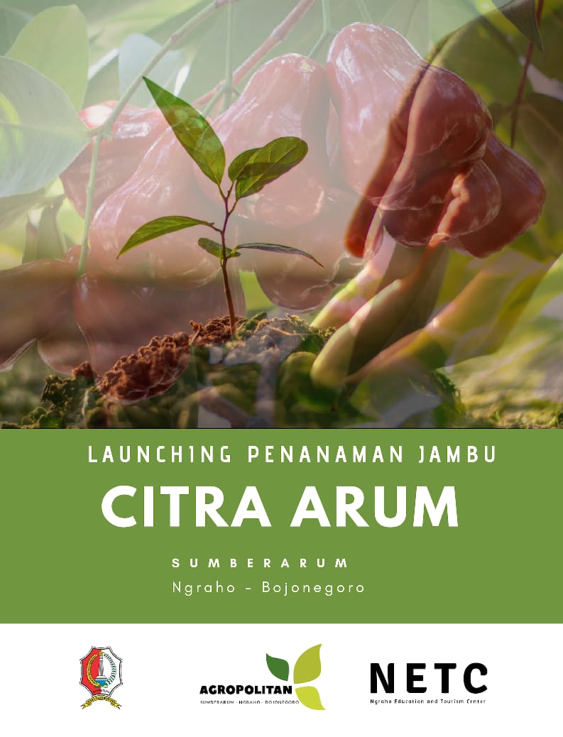 Lounching Penanaman Jambu CITRA ARUM di Sumberarum